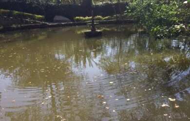 Imagem 4: Chacara para Venda /Bairro Monterrey, Louveira -SP