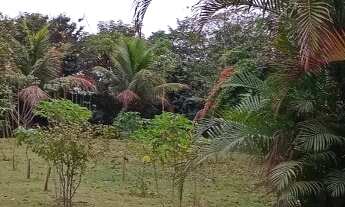 Imagem 7: CHACARA RESIDENCIAL em OURINHOS - SP, DISTRITO INDUSTRIAL DOUTOR HÉLIO SILVA