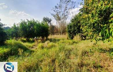 Imagem 2: CHÁCARA A VENDA, JARDIM VENEZA, EM RIO PRETO, COM 02 CASAS, 02 DORMITÓRIOS, SALA, COZINHA