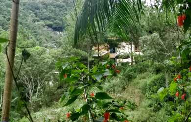 Imagem 5: Chácara à venda com Casa Duplex de 4 quartos em condomínio, lazer completo, nas Montanhas