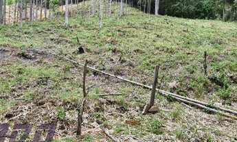 Imagem 6: Sítio à venda em Alto São Miguel, Buenos Aires - Guarapari ES