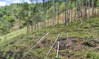 Imagem 2: Sítio à venda em Alto São Miguel, Buenos Aires - Guarapari ES