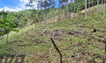 Imagem 4: Sítio à venda em Alto São Miguel, Buenos Aires - Guarapari ES