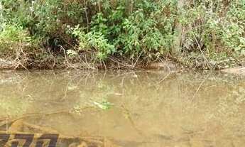 Imagem 4: Chácara à venda em Todos os Santos, próximo a Marechal Floriano