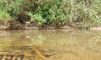 Imagem 6: Chácara à venda em Todos os Santos, próximo a Marechal Floriano