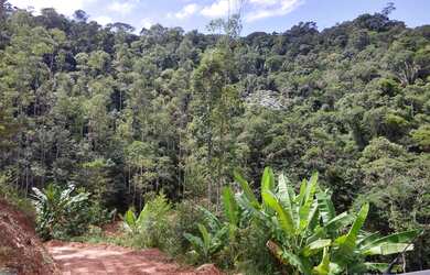Imagem 7: Sítio à venda em Todos os Santos entre Guarapari e Marechal Floriano - ES