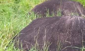 Imagem 6: Chácara à venda em Cachoeirinha, área nobre da Zona Rural de Guarapari, à 5 minutos do tre