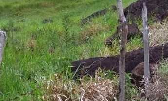 Imagem 2: Chácara à venda em Cachoeirinha, área nobre da Zona Rural de Guarapari, à 5 minutos do tre