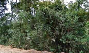 Imagem 7: Lote à venda em Domingos Martins no Bairro Vivendas do Imperador, com 1.332,42 m²