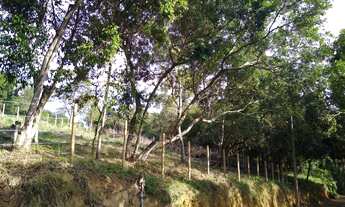 Imagem 3: Lote/Terreno á venda em Nova Guarapari , Guarapari -ES