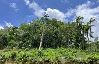 Imagem 6: Área rural / terreno à venda na Rota da Ferradura, entre Buenos Aires e Boa Esperança - Gu