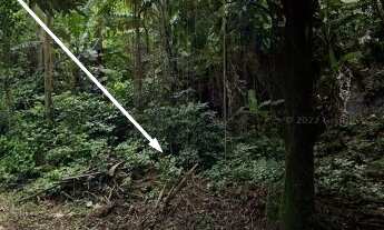 Imagem 5: Chácaca / Sítio à venda com belíssima vista em Buenos Aires, Guarapari ES