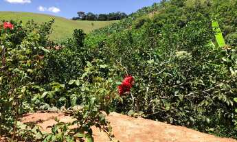 Imagem: Chácara à venda em Perobas, Domingos Martins