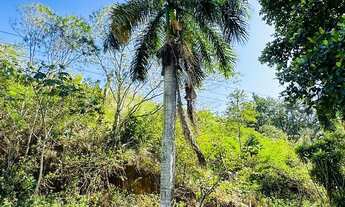 Imagem 6: Sítio à venda em Guarapari de 70 mil m² as margens da BR 101 - Iguape, Guarapari ES