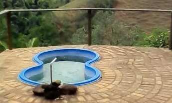 Imagem: Sitio à venda com 60.000 m² de área