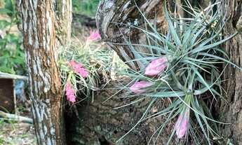 Imagem 7: 2 dormitórios, 2 banheiro, 186M² de Área Construída