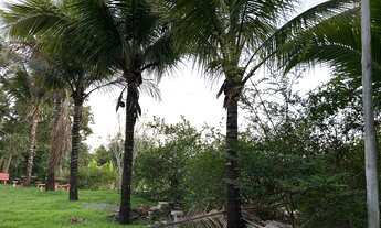 Imagem 6: 2 dormitórios, 2 banheiro, 186M² de Área Construída