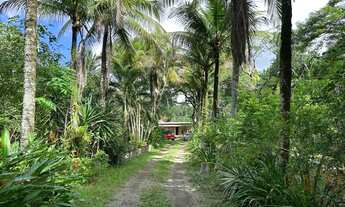 Imagem 2: Sítio residencial e comercial com lagoa, pasto, pomar, galpão, acesso pavimentado, perto d