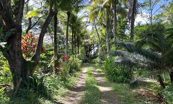 Imagem: Sítio residencial e comercial com lagoa