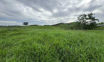 Imagem 4: Área à venda com 2,5 alqueires, próximo ao Posto Jaqueira, pavimentação até entrada da Pro