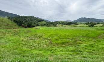 Imagem 2: Área à venda com 2,5 alqueires, próximo ao Posto Jaqueira, pavimentação até entrada da Pro