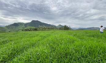 Imagem 3: Área à venda com 2,5 alqueires, próximo ao Posto Jaqueira, pavimentação até entrada da Pro