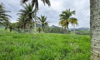 Imagem 5: Área à venda com 2,5 alqueires, próximo ao Posto Jaqueira, pavimentação até entrada da Pro