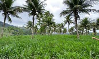 Imagem 6: Área à venda com 2,5 alqueires, próximo ao Posto Jaqueira, pavimentação até entrada da Pro