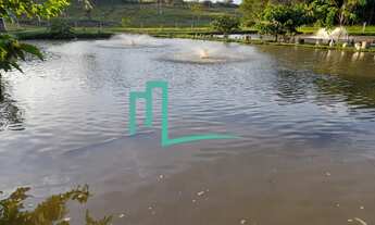 Imagem 3: SÍTIO Á VENDA EXCELENTE OPORTUNIDADE EM ITAMOGI - Varias represas - Piscina - Chalé