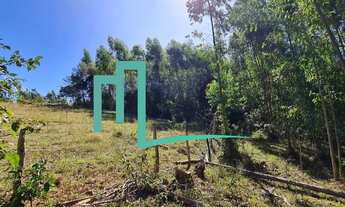 Imagem 2: EXCELENTE OPORTUNIDADE SÍTIO Á VENDA EM CAPETINGA/MG