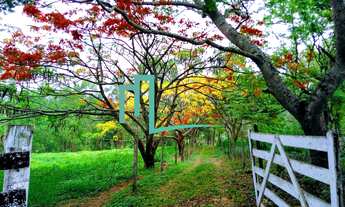 Imagem 4: Fazenda à venda em Capetinga-MG na Zona Rural: 2 quartos, 1 sala, 1 banheiro, 1 vaga de ga
