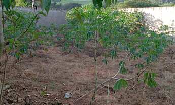 Imagem: EXCELENTE OPORTUNIDADE TERRENO Á VENDA