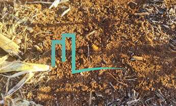 Imagem 7: Fazenda entre Cassia e Passos