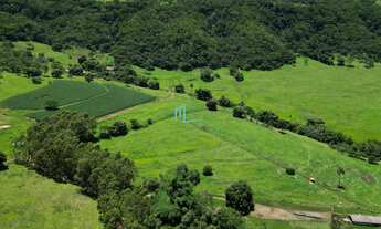 Imagem 7: SÍTIO DE 24,99 ALQUEIRES (60,49 hectares) em RIFAINA/SP COM ESTRUTURA COMPLETA, 03 CASAS S