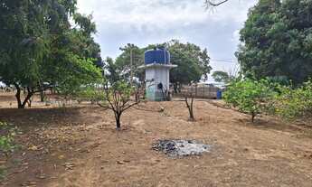 Imagem 4: Imóvel à venda em Rifaina-SP