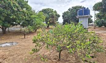 Imagem 3: Imóvel à venda em Rifaina-SP