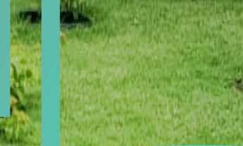 Imagem 3: APARTAMENTO NO CONDOMÍNIO RESIDENCIAL BRASIL