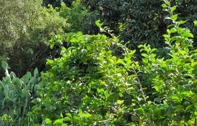 Imagem 4: 3 dormitórios, 1 suítes, 4 banheiro, 1 vaga na garagem