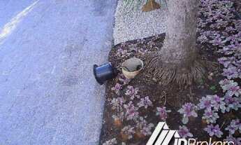 Imagem 5: Casa na Praia,venda,aluguel