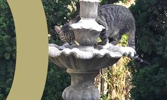 Imagem 5: CASA DE CONDOMINIO RESIDENCIAL em JACARÉ (CABREÚVA) - SP, Pinhal