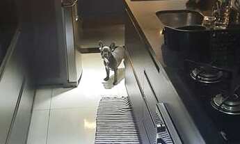 Imagem 7: 2 dormitórios, 1 banheiros, 1 vaga na garagem, 50M² de Área Construída