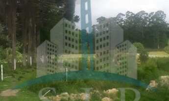 Imagem 4: Chácara à venda em São José dos Pinhais-PR, no bairro Campo Largo da Roseira! Com 3 quarto