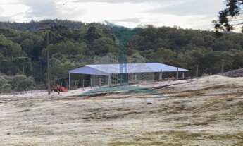 Imagem 6: Chácara à venda em Mandirituba-PR: 3 quartos, 2 salas, 2 banheiros, 2 vagas de garagem, 30