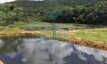 Imagem 5: Chácara à venda em Mandirituba-PR: 3 quartos, 2 salas, 2 banheiros, 2 vagas de garagem, 30