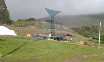 Imagem 2: Chácara à venda em Mandirituba-PR: 3 quartos, 2 salas, 2 banheiros, 2 vagas de garagem, 30