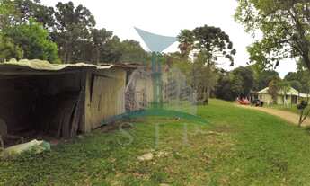 Imagem 6: Chácara á venda com 30.184,15 m² á venda na Zona Rural de Tijucas do Sul / PR...!!!