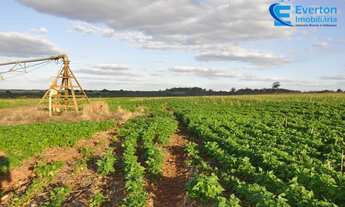 Imagem 3: Fazenda com 185,95 alqueires, para Lavoura com córrego em Uberlândia