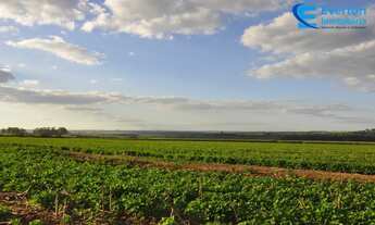 Imagem 6: Fazenda com 185,95 alqueires, para Lavoura com córrego em Uberlândia