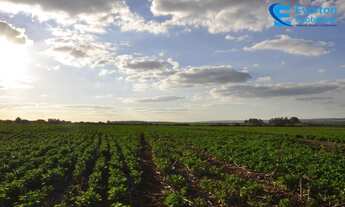 Imagem 7: Fazenda com 185,95 alqueires, para Lavoura com córrego em Uberlândia