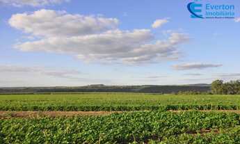 Imagem 5: Fazenda com 185,95 alqueires, para Lavoura com córrego em Uberlândia